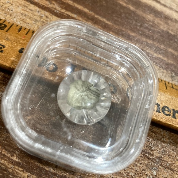 Pyrite in Quartz